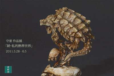 アクアプラント 豊年魚 根付 守亜 （アクアプラント 守亜｜ハブ