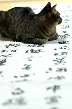 李白（りはく） 漢詩作品 | かわせみの生活 ブログ / 和の暮らし 一期一会