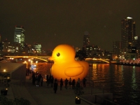 091222RubberDuck