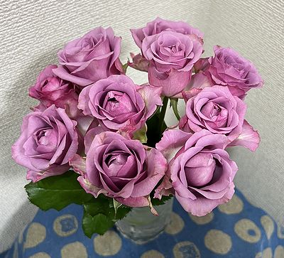 10月のお届けバラ クールウォーター | きまぐれスミトン