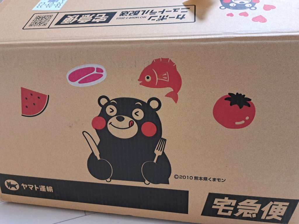 箱モン | 海 酔