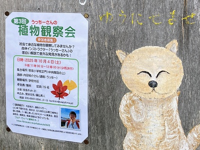 植物観察会