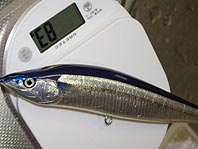 WB20F銀箔サンマ（マグロ用ルアー） | KAKIPRO.ブログ いい