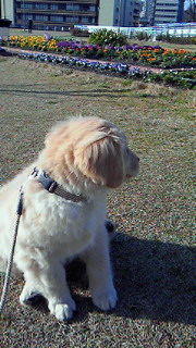 201103050837001.jpg