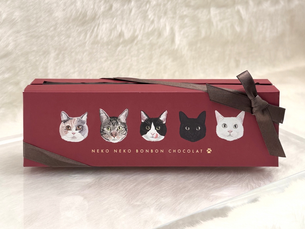 にゃんこ大行進～チョコレートパッケージになった猫たち～（フェリシモ