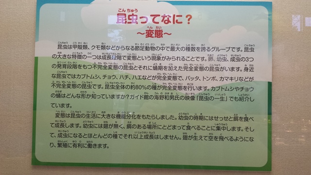 2013.8.22-4.jpg