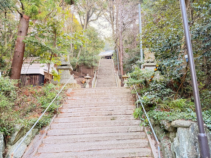 2025年01月の記事 | 石鎚・剣山 登山ガイドサービス ”山旅”