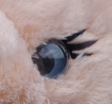 eye.jpg