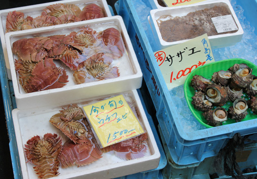 20110409_1_karatsuichiba_06.JPG