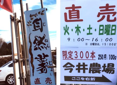 自然薯産地直売 | New 一粒の実 自然薯産地直売 | New 一粒の実