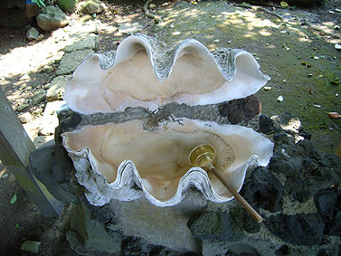 白髭の大じゃこ | 海山日和