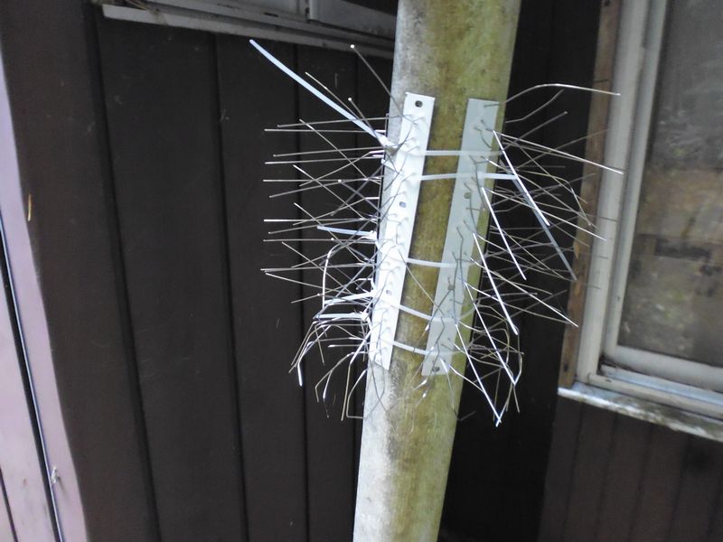 ハクビシン等小動物対策にネズミ返しを設置してみた(DIY) | DDRダイエット改!(直球ストレート(笑))