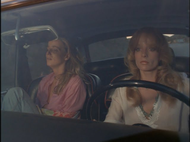 ダイナマイト娘 (The Great Texas Dynamite Chase) 1976年 アメリカ 