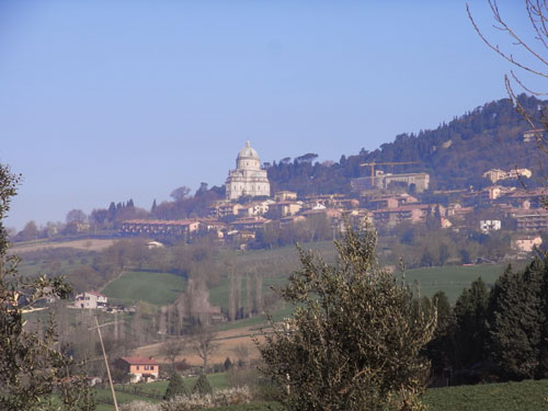 TODI