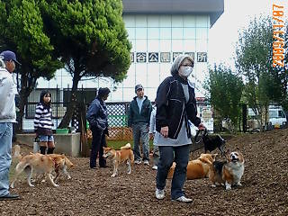 祖師谷公園 【公園へ行こう】 犬と散歩 | 季節を愛でる