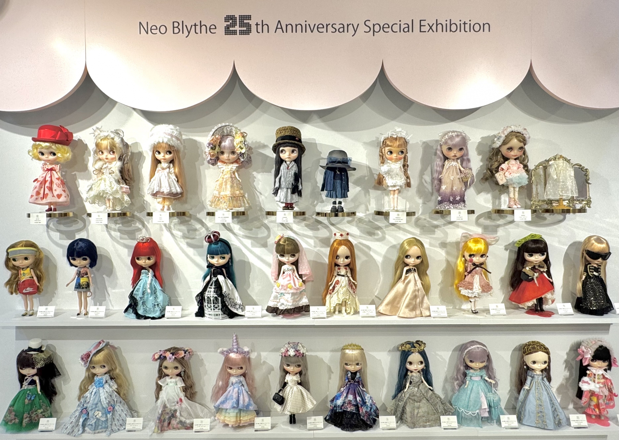 ギャラリー | Junie Moon 東京・代官山店