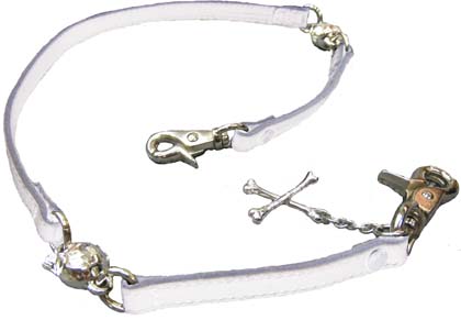 COLLARS 村田将五着用モデル レグルス限定VER予約開始