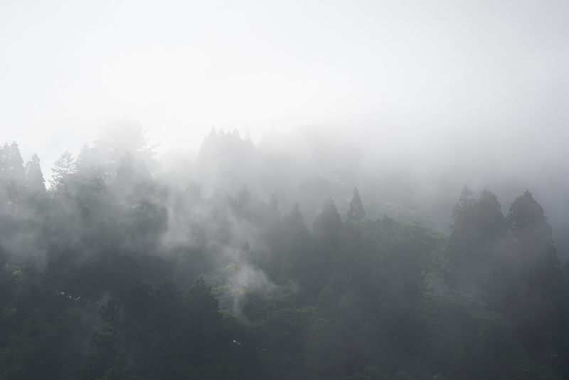 朝靄 | KANON 2