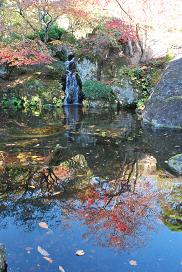 red leaves in Hakone