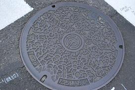 a manhole in Shizuoka