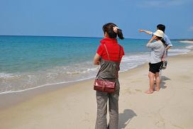 in Tanegashima