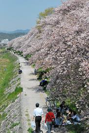 in Kyoto