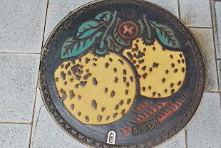 manhole in yatsushiro