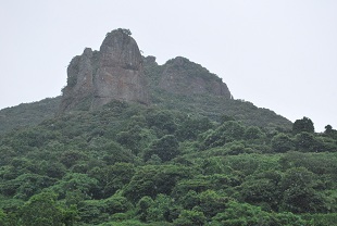 in kumamoto