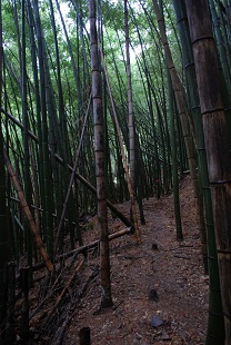 iwami ginzan