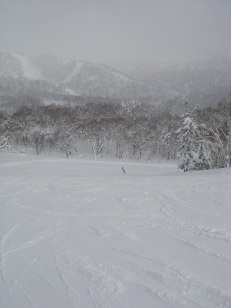 ski in kiroro