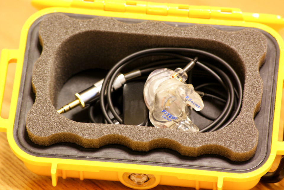 須山カスタム Fitear Private223 レビュー | thrillseeker
