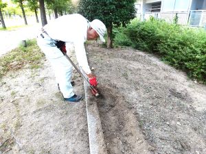 地表面は土の裸地ですが | なぎさ花壇管理会 MA耶