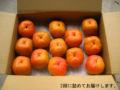 2016年09月08日の記事 | 近藤農園からのお便り