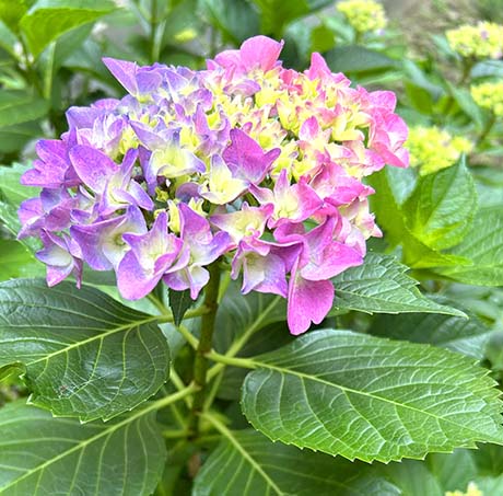 制作期間が始まります。
