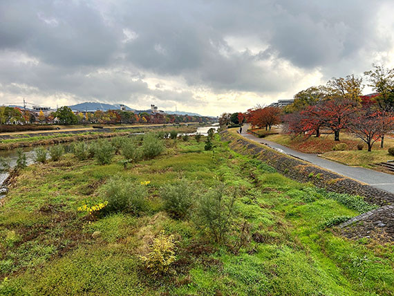 久しぶりにゆっくりした京都へ、どうぞ。