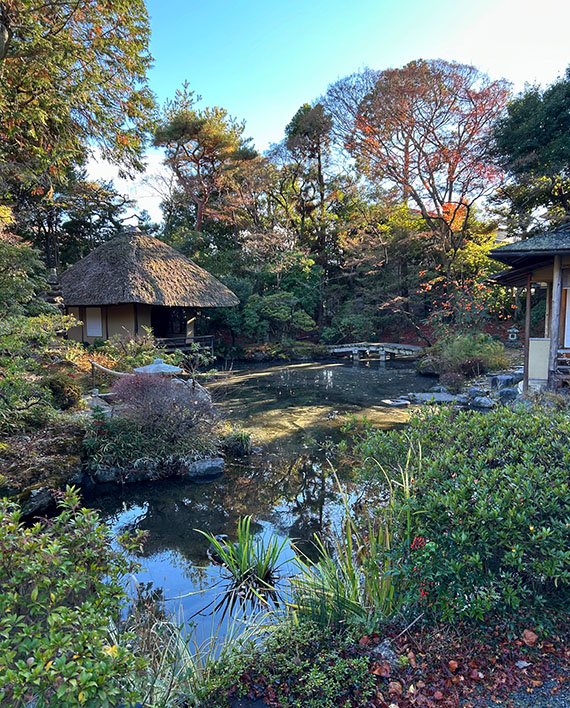 冬枯れの白沙村荘を訪ねました。