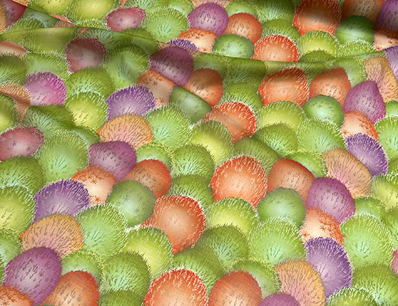 今期の新柄解説　その6