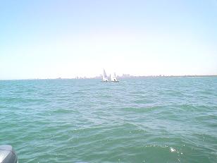 レーザーラジアルinセールメルボルン | BEST WIND.jp