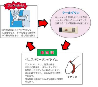 アンドロペニスの使用方法 | 別れた彼女とよりを戻す方法