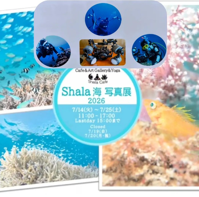 夏といえば海！ | 弘前りんご＿新参者の宝塚日記