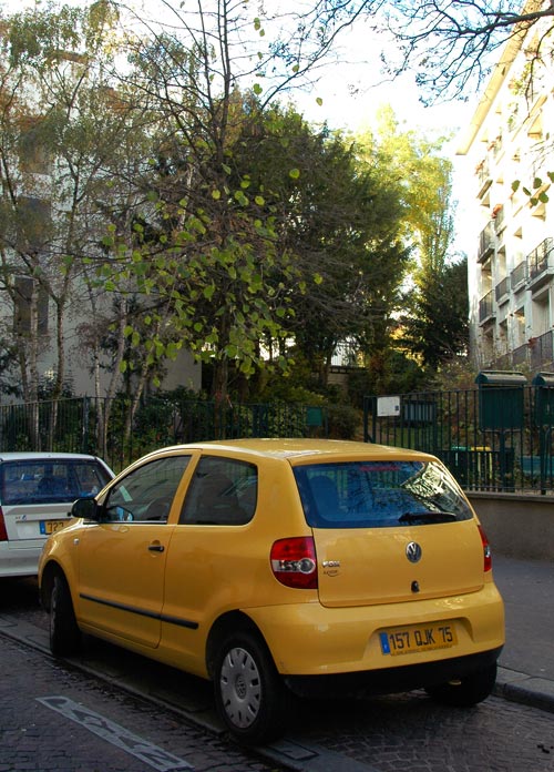 VW Fox2