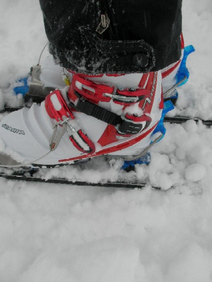 New スカルパT-レース | テレマークスキー・ライフ