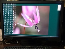 eizo_SX2762W-HX1