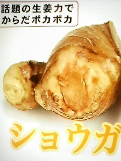 201101241839000.jpg