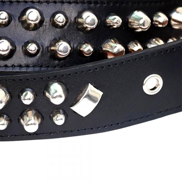 更新0324□PEEL&LIFT_2-row pudding belt□Re-stock | FUUDOBRAIN