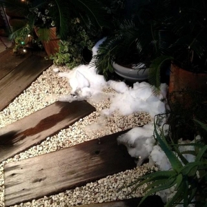 大雪