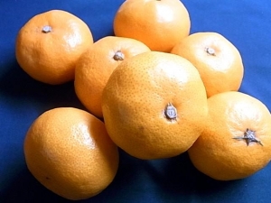 みかん