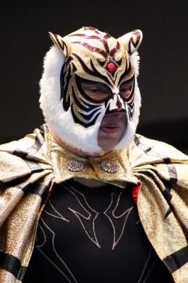 新生 初代タイガーマスク「NEW MODEL」 | プロレス・マスク・ワールド