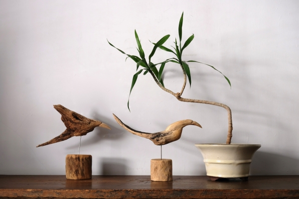 classico webshop update！ | classico ｜ blog