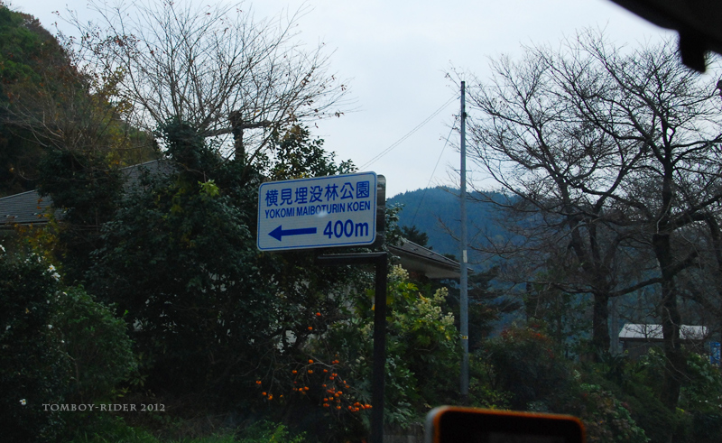 shimane21.jpg